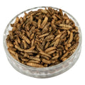 Best Selling 100% Natural Healthy Pet Snacks Hot Selling Feed Insect Protein Live Larvae Black Fly Soldier