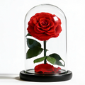Valentine's Day Wedding Mothers Decor Surprise Idea  Colorful Real Preserved Eternal Rose Flowers in a Glass Dome for Wife Gift