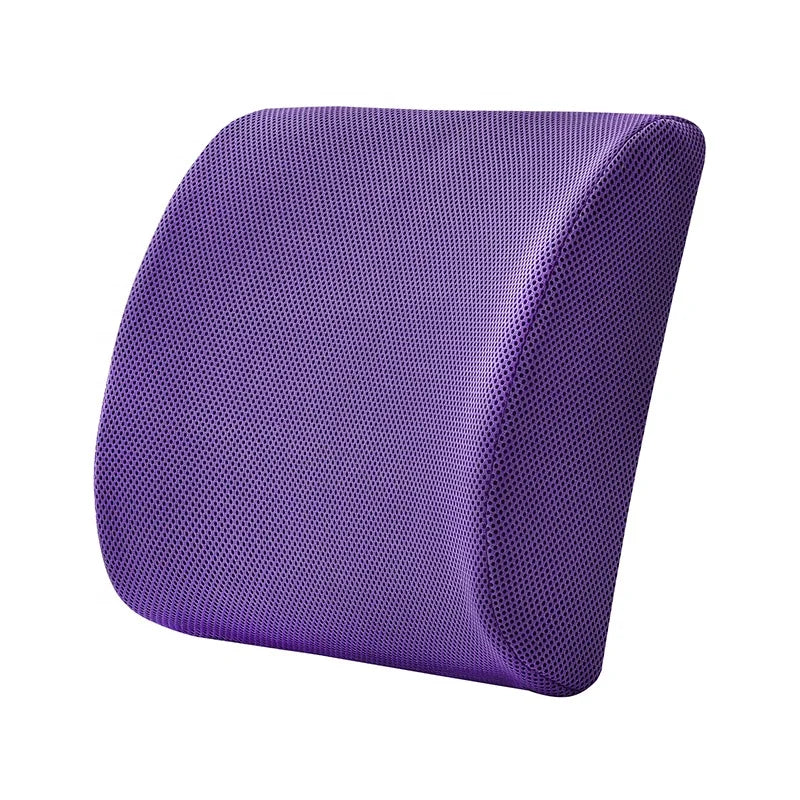 Summer Ventilated Mesh Fabric Comfort Memory Foam Lumbar Back Support Pillow Back Pain Cushion for Office Car Office Chair