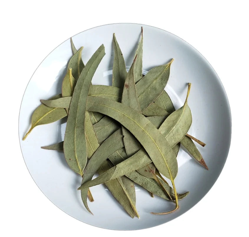 Superior Eucalyptus Leaves Raw New Natural Pure Bulk Whole Dried Eucalyptus Leaf for Sale