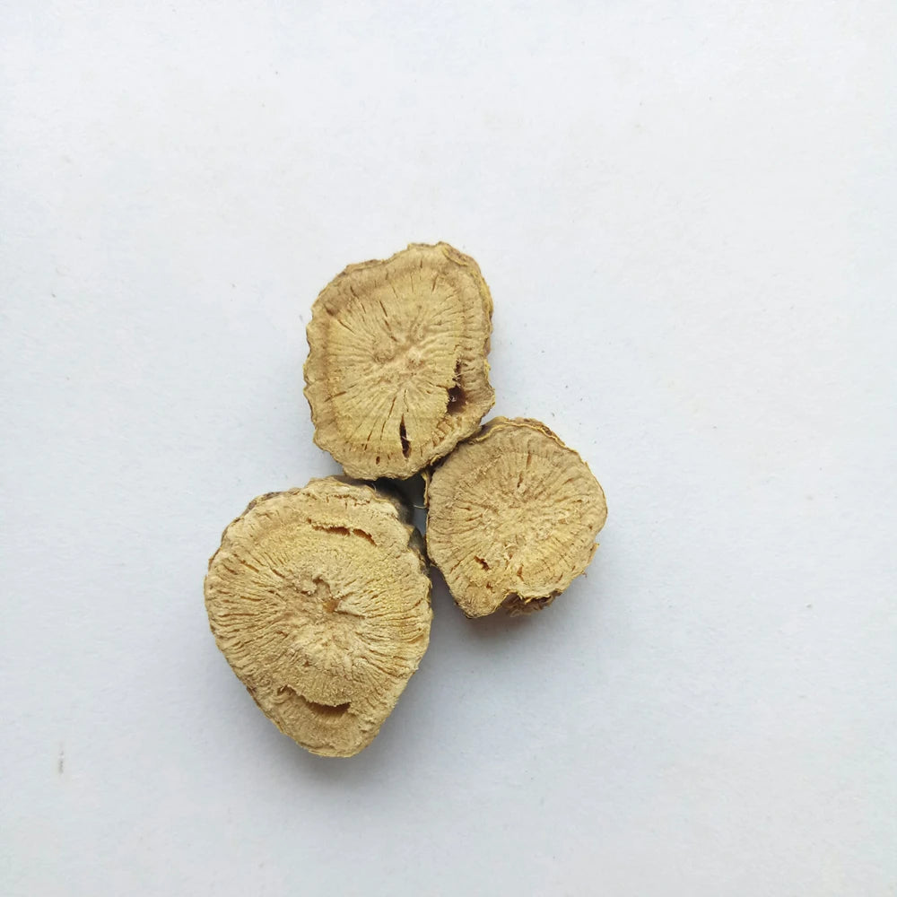 Kushen Bitter Herb Root of Light Yellow Sophorn Lightyellow Sophora Root for Sale