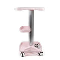 Hot Sale pink Multi-functional Storage Tool Cart Beauty Salon Tray Trolley Dyeing Trolley Hair Tool Cart Barbershop Storage