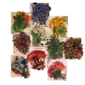 40 Sheets Per Pack Nature museum Handbook Sticker Pack Vintage Children's Handbook Stickers Flowers butterfly Stickers