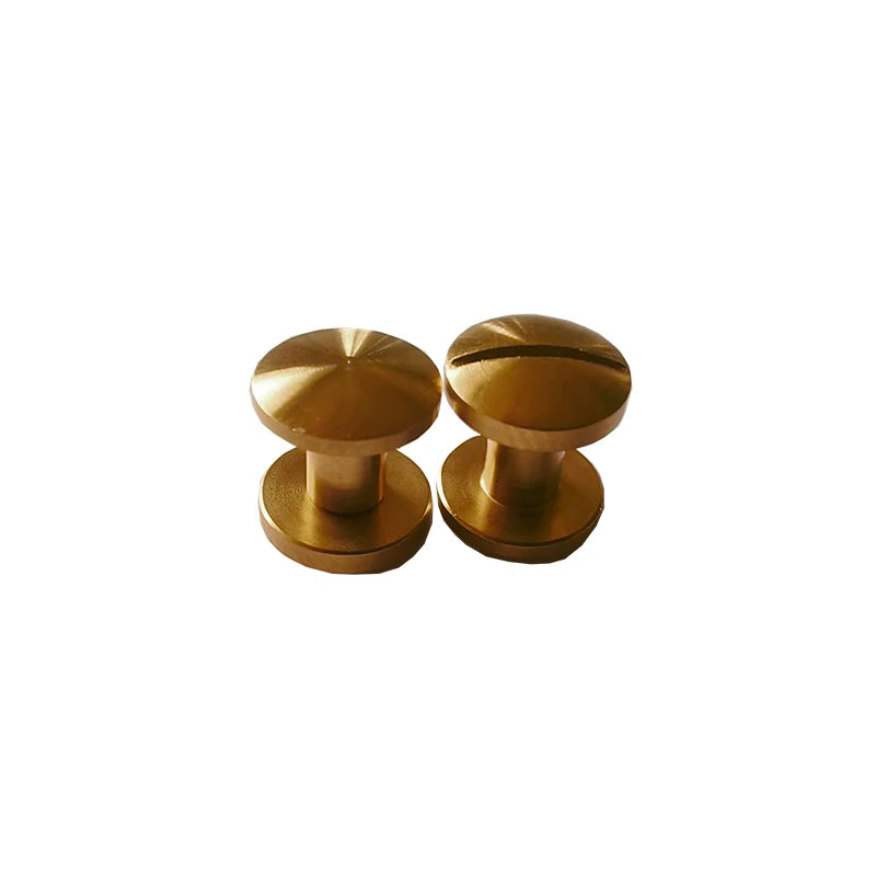 Factory Price of M5 Titanium Chicago Screws