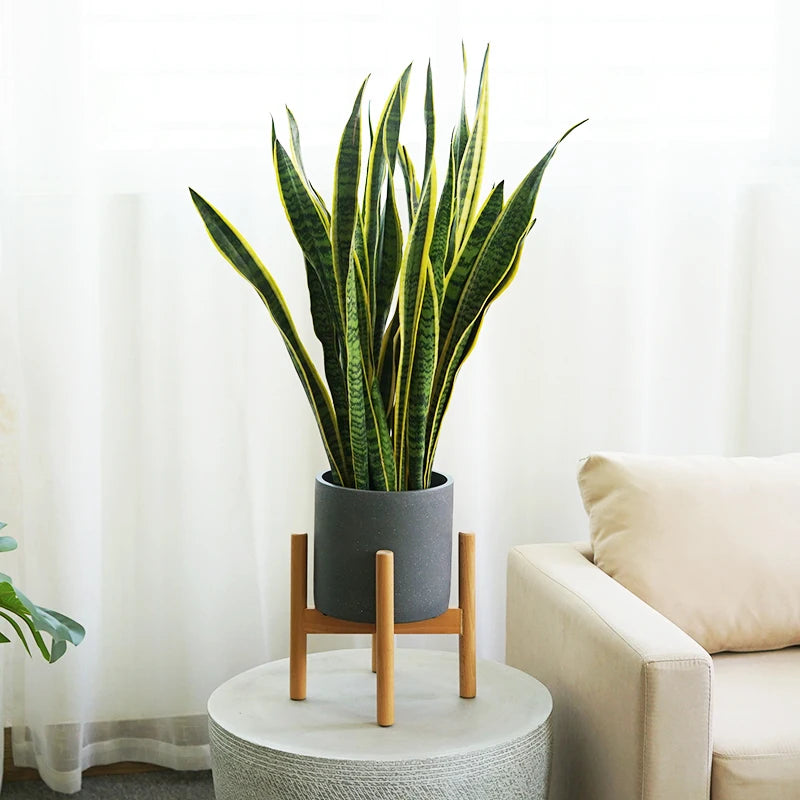 Modern Round Square Shape Cement Planter Pot with Wooden Stand for Home Garden Decor Stylish Flower Pots & Planters