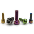 Gr5 Anodized Colored M3 M4 M5 M6 M7 M8 M10 Bicycle Motorcycle Titanium Screw