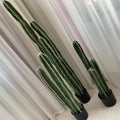 Cactus with Thorns Plant  Dekoration Plant