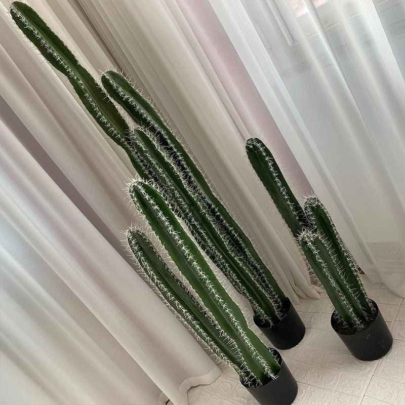 Cactus with Thorns Plant  Dekoration Plant