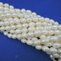9 mm  Rice Shape Pearl Loose Wholesale Freshwater Pearl