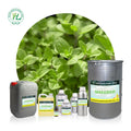 Wholesale 1Kg Sweet Marjoram Essential Oil 100% Pure for Aromatherapy | Natural Chinese Origanum Majorana Herbal Extract