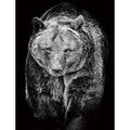 5D Diamond Painting Black White Animals Diamond Embroidery Full Square or Round Dill Tiger Rhinestone Pictures Home Decor