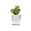 BRICE 4 Inch China Bulk Flower Pots Self Watering Creative Plastic PET PP Nursery Planter Garden Transparent Flower Pot