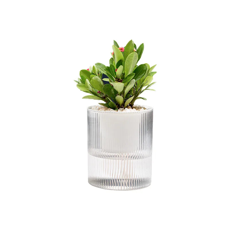BRICE 4 Inch China Bulk Flower Pots Self Watering Creative Plastic PET PP Nursery Planter Garden Transparent Flower Pot