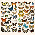 52 Sheets/pack Cartoon Colorful Butterfly Stickers Waterproof Temporary Transfer for Kids' Home Decoration Holiday Use