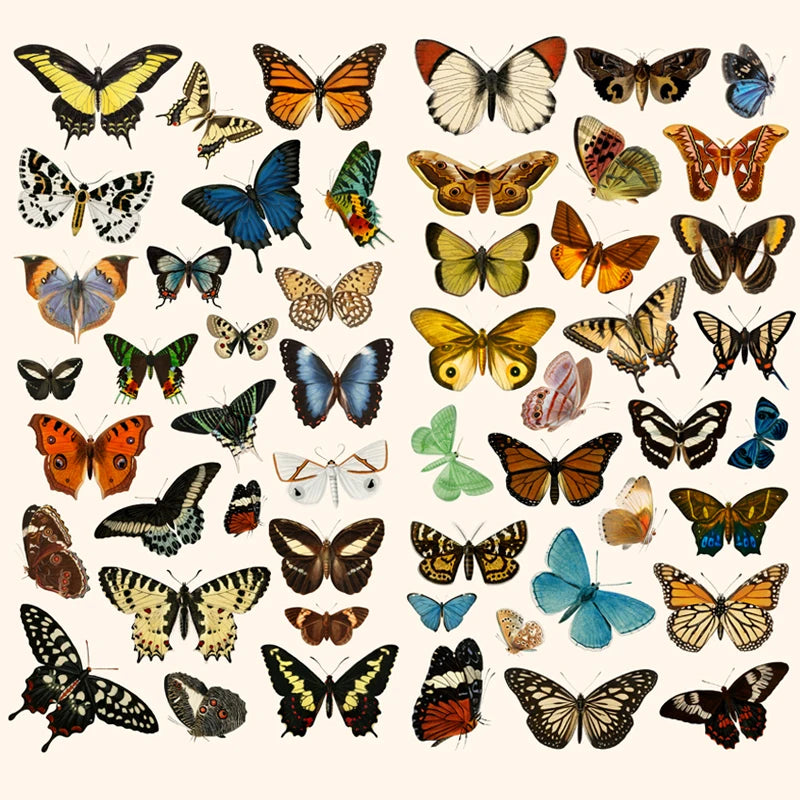 52 Sheets/pack Cartoon Colorful Butterfly Stickers Waterproof Temporary Transfer for Kids' Home Decoration Holiday Use