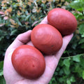 Wholesale Polished Natural Red jasper Palm Quartz Crystal Gemstone jasper Palm for Sale