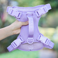 Pet Products Adjustable Breathable Dog Vest Harness for Dog Bull Wholesale Nylon Soft Leash Big Dog Pet Harness
