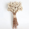 Wholesale Dried Mini Gingko Preserved White Round Flowers Liviflo Brand for Christmas Decorations