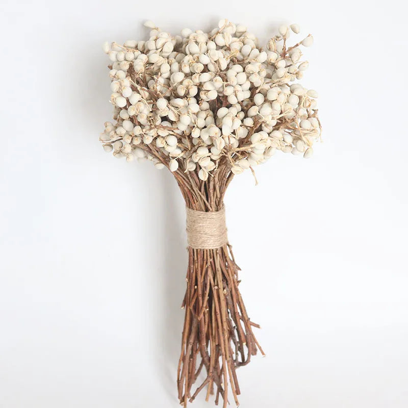 Wholesale Dried Mini Gingko Preserved White Round Flowers Liviflo Brand for Christmas Decorations