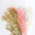 2020 Most Popular Preserved Dried Ruscus Flowers Bleached Handmade Valentine's Day Decor