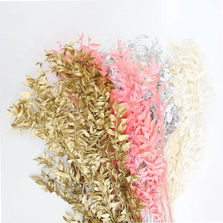 2020 Most Popular Preserved Dried Ruscus Flowers Bleached Handmade Valentine's Day Decor