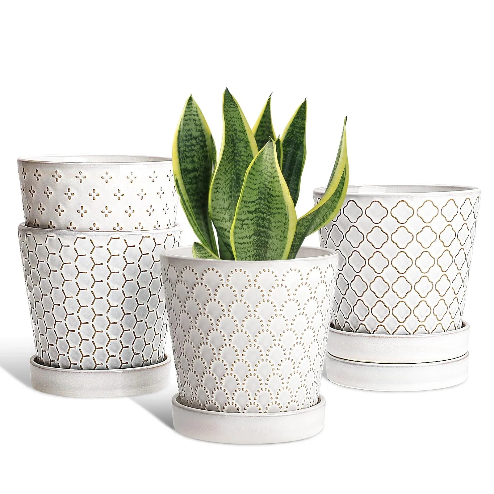 Modern Succulent Plant Garden Exquisite Ceramic Flower Pot Drainage With Holes and Saucers Home Decoration Vase