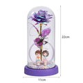 AYOYO OEM Valentine's Day Gift Eternal Flower Lantern Crystal Flower Glowing Glass Cover Crafts Small Night Lamp