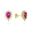 14K-Gold French Pigeon Red Stud Earrings 925 Sterling Silver Plated Gold Plated Zircon Trendy Geometric Pattern Parties Gifts