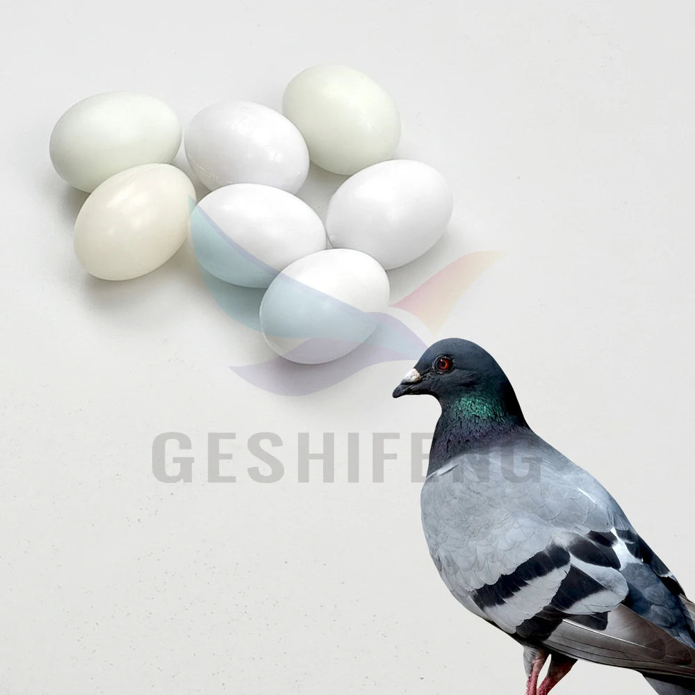 Plastic Pigeon Eggs Solid Egg