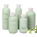 100ml 200ml 300ml 400ml 500ml Shampoo Lotion Cosmetic Container Plastic Bottle Packaging