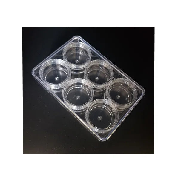 10g Transparent Plastic Rhombus Hexagonal Cream Boxed Jar 6 Pcs Per Set with a Box for Cream Eye Shadow