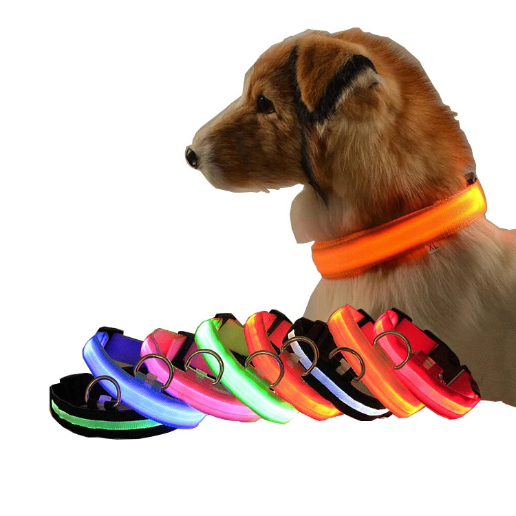 LED Lights Dog Collars Adjustable Nylon Classic Simple Ribbons Safe Waterproof Luminous Flashing for Dogs Cats