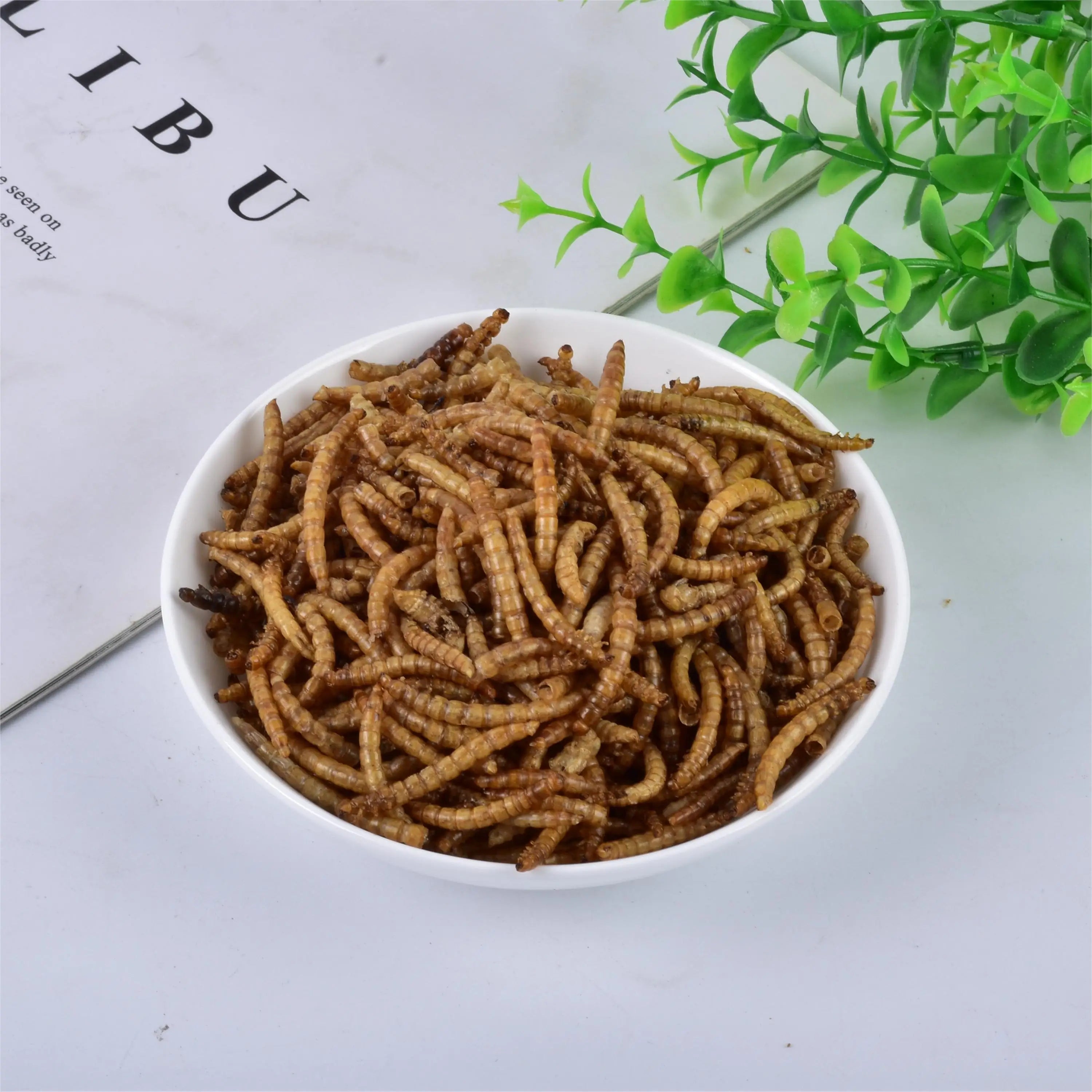 Sino Crown Dried Dried Tenebrio Grubs Larvae Organic Nutritious Pet Food for Sale at a Cheap Price