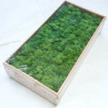 Yunnan Manufacturer Wholesale Preserved Moss Boxed Class 500g Free of Impurities Green Fresh-Keeping DIY Flower Materials