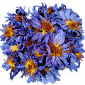 Organic EU Grade Clean Lotus Sacred Herbs Egyptian Nymphaea Caerulea Dried Blue Water Lily 100% Natural Smoking Tea Wholesale