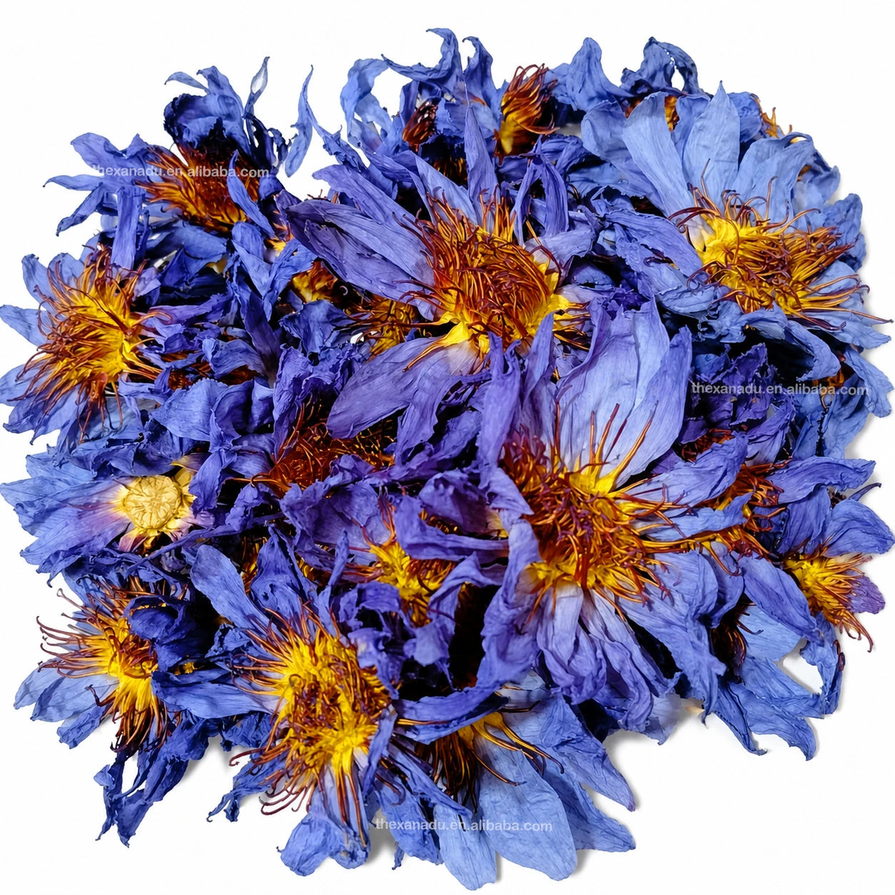 Organic EU Grade Clean Lotus Sacred Herbs Egyptian Nymphaea Caerulea Dried Blue Water Lily 100% Natural Smoking Tea Wholesale