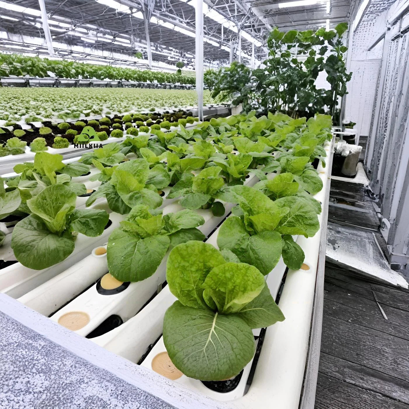 Openable Black and White PVC Hydroponic Channels 100x80mm Double Layer for Larger Crops Efficient Hydroponic Systems Tube