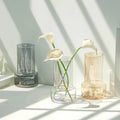 Nordic Ins Windglass Vase Transparent Aquatic Flower Arranger Home Accessories Living Room Bedroom Glass Vase
