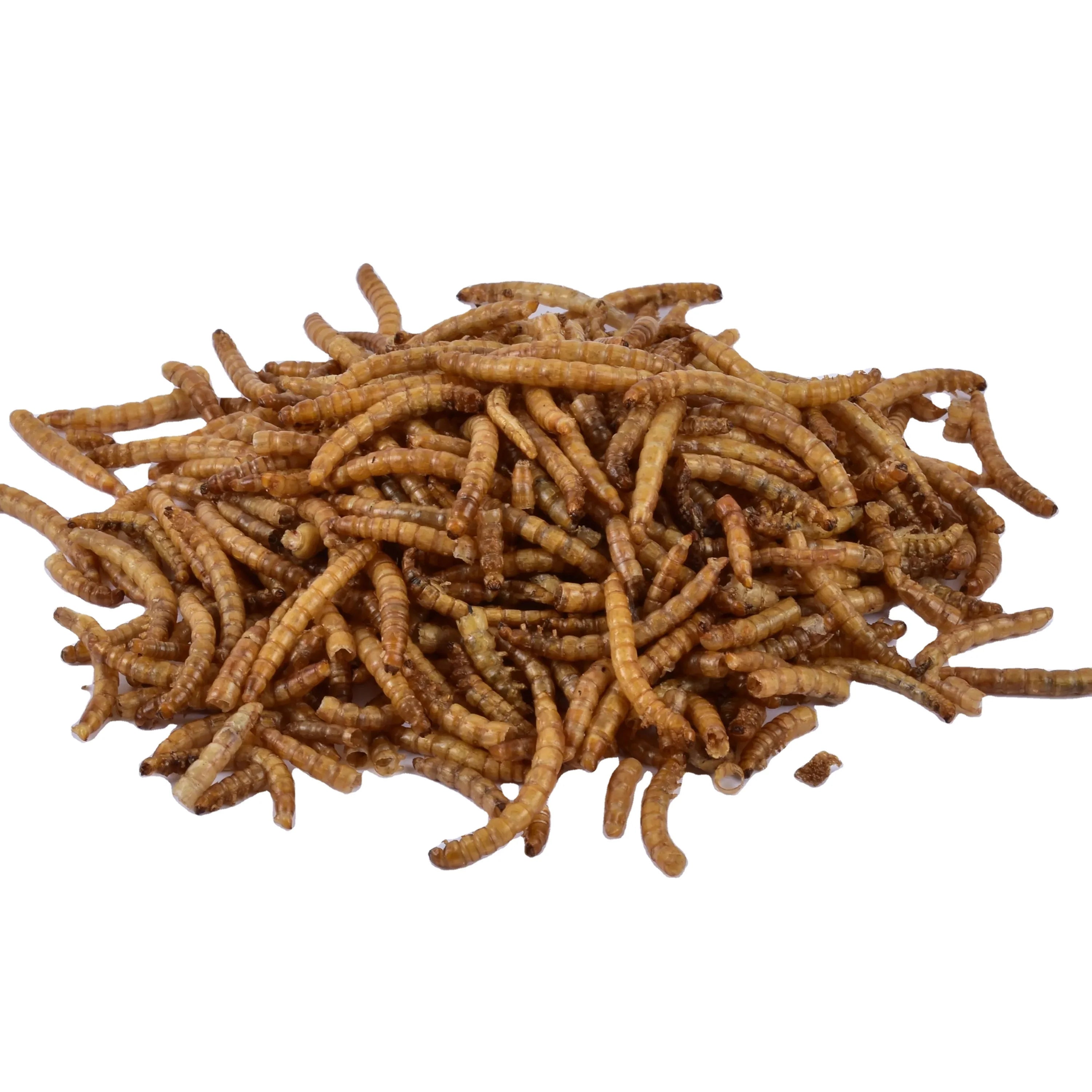 100% Pure Natural Dried Mealworms Yee Fish Food Bulk Wholesale for Birds Fish Horses Pigs Dogs Small Pet Food