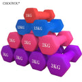 Factory Direct Selling Coated Dumbbell Women's Small Dumbbell Flat Aerobics Dumbbell Gym