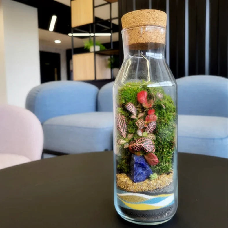 Bottle Jar Glass Terrarium with Wooden Cork Tabletop Vase for Mini Nature Plants and Moss Table Decoration