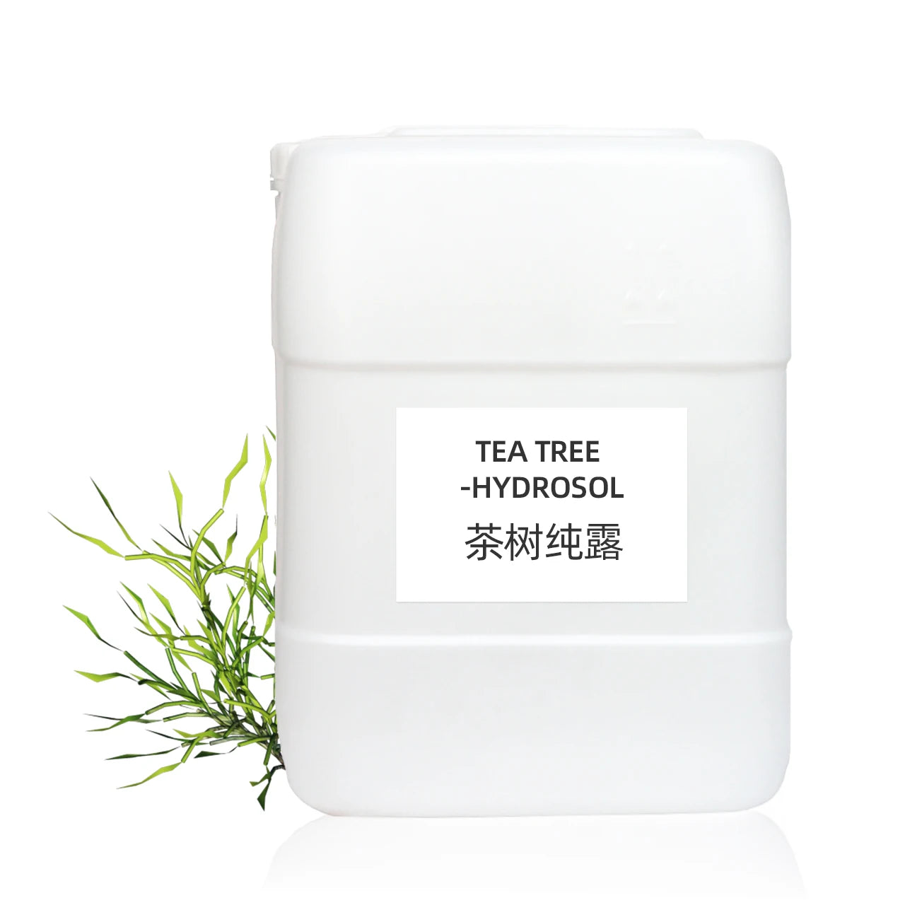 Best Price Australia Tea Tree Hydrolat Hydrolats for Cosmetic Formula