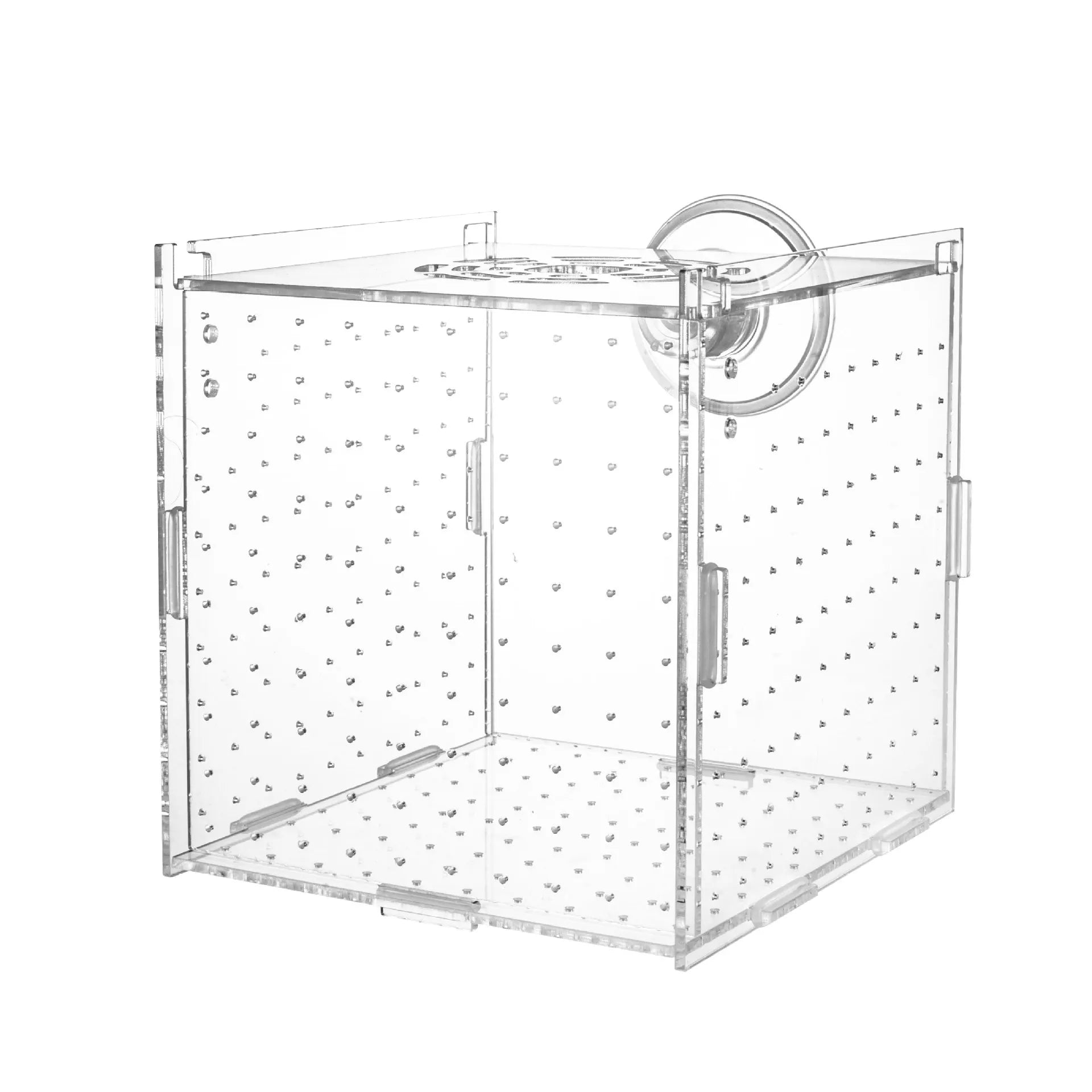 Binyalirir Fish Isolation Breeder Box Good Texture Plastic Feeding Hole for Fish Tank
