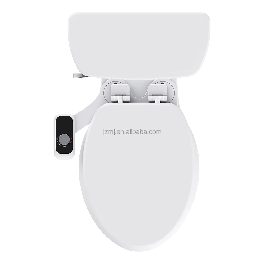 Modern Dual-Flush Bidet Toilet Seat P-Trap Elongated Bowl Cold Fresh Water Feature One Piece Non-Electric Design for Bathroom