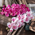 C-OR005 Wholesale Faux Artificial Silicone Phalaenopsis Orchids White Latex Real Touch butterfly Orchid Stem for Wedding Decor