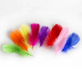 Wholesale 100pcs Goose Wing Small Feathers Dyed Pattern for Crafts DIY Wedding Home & Party Decorations