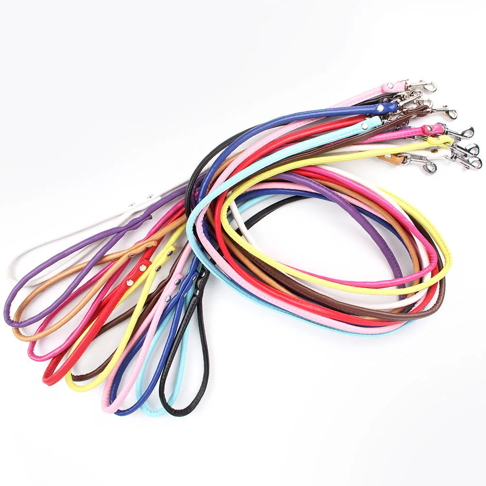 Wholesale Stocked Cheap Walking Leash Cat Dog Accessories