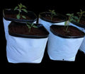 Best Selling Square Planting Bags for Trees PE Thickened Nursery Bags for Home White Grow Bag for Tomato