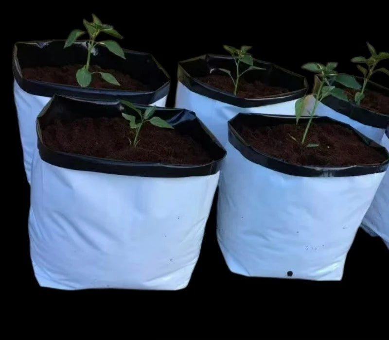 Best Selling Square Planting Bags for Trees PE Thickened Nursery Bags for Home White Grow Bag for Tomato