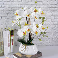 D-LP002 Studios White Phalaenopsis Faux Orchid in Pot  for Home Decoration
